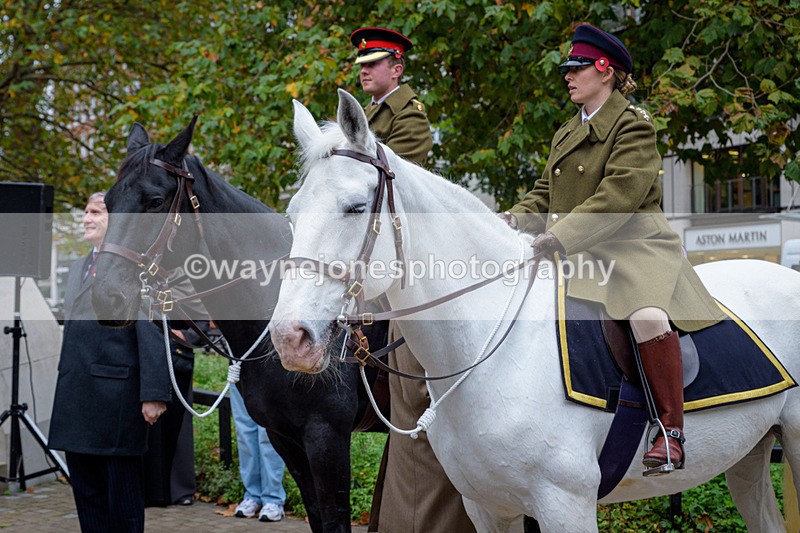 NGP_8169 - 2024 Animals in War Remembrance Gathering