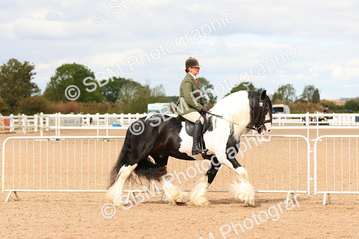 SBM_15656 - Class 215 - Ridden Traditional - Native Cobs