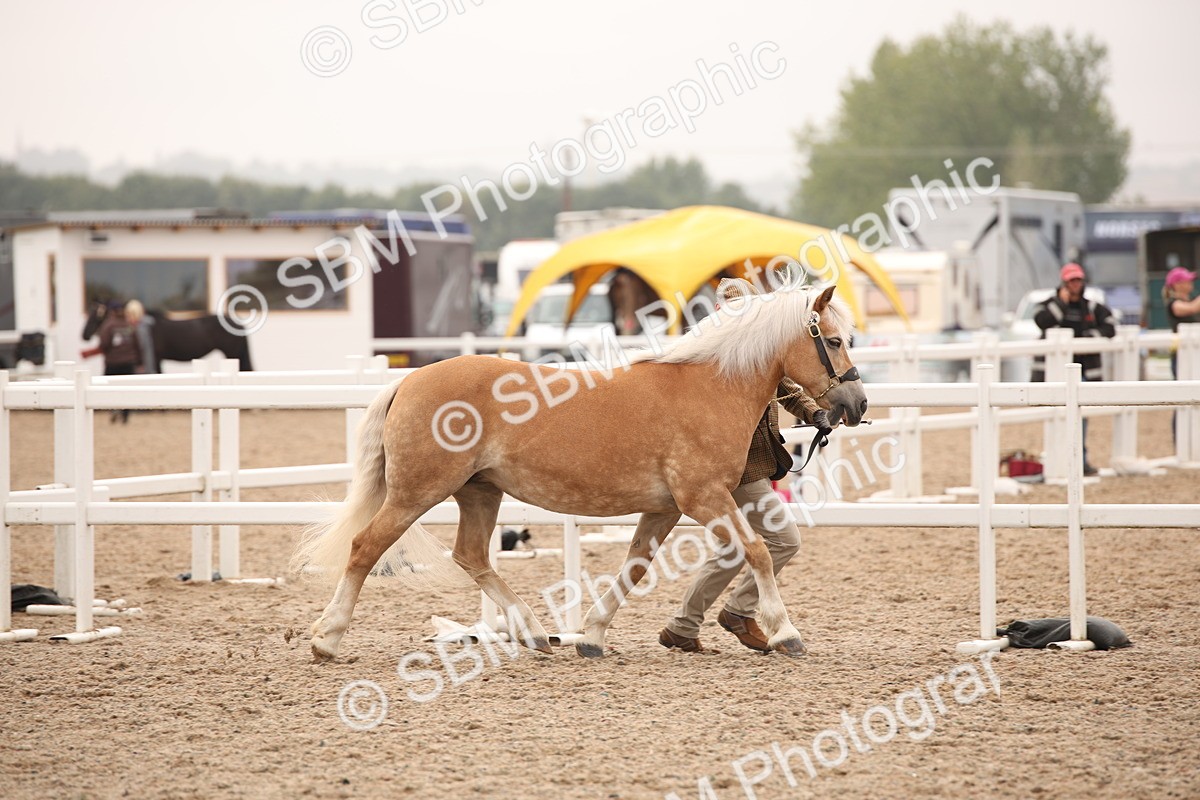 SBM_22101 - Class 707 - Ridden Groom-Helpers Class