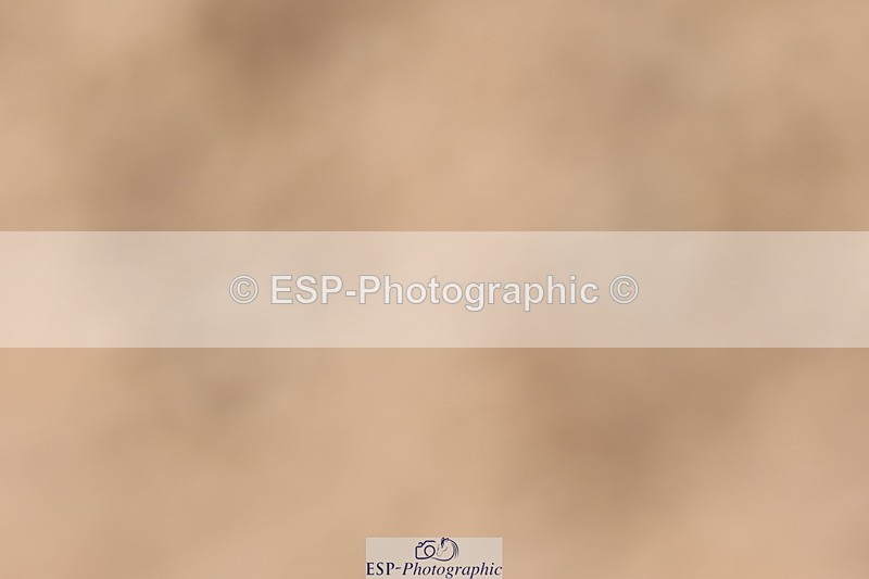 240706A-152645-03886 - Cls 8B Jnr RT Prelim 12