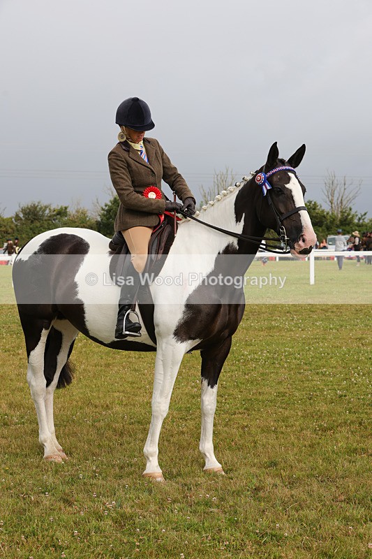 1X9A2946 - Class 25: Ridden Plaited Coloured Horse