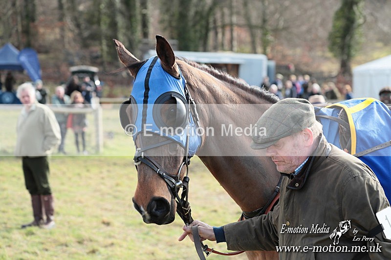 PtP 220225 621 - Kimblewick Point-to-Point  Kingston Blount 22/02/25