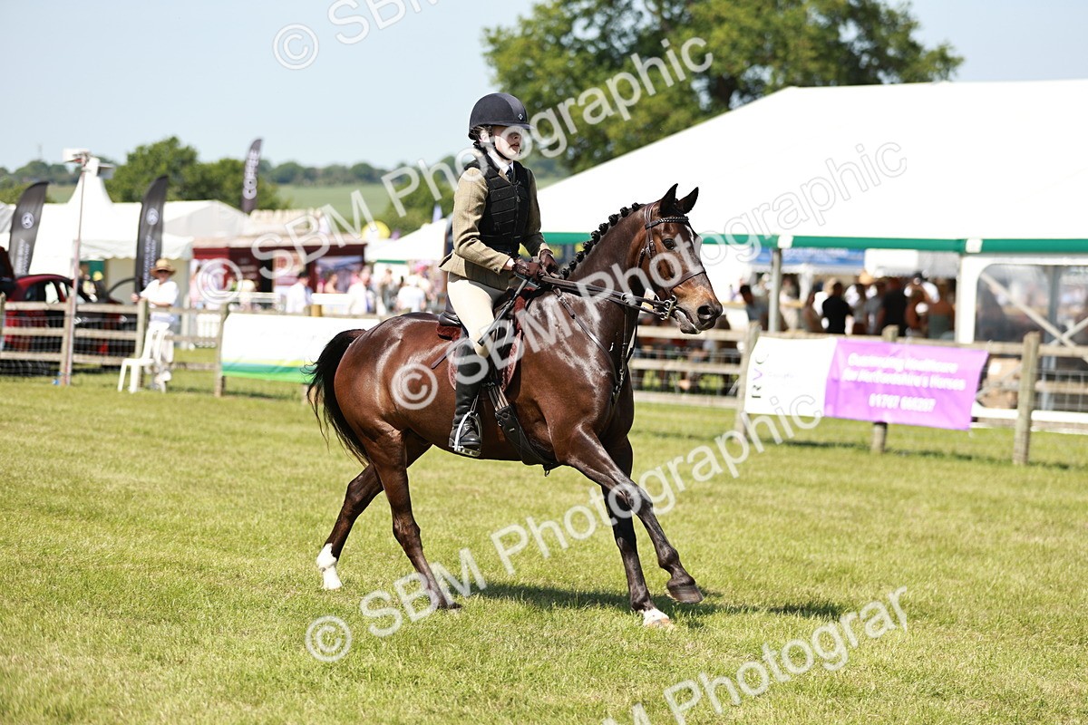SBM_17577 - Class 112-113 - BSPS LIHS Working Sports Pony