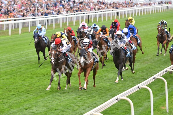 yr18082022r3-35 - Race 3 3.00pm Clipper Logistics Stakes
