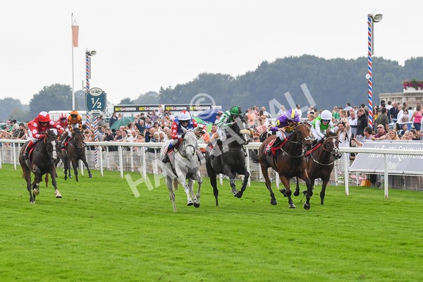 100923-Pony Race 2-Its Fatherted-0250 - Pony Race 2 12.45 The Dragon (TV and Film) Studios Pony Race 148cm & Under