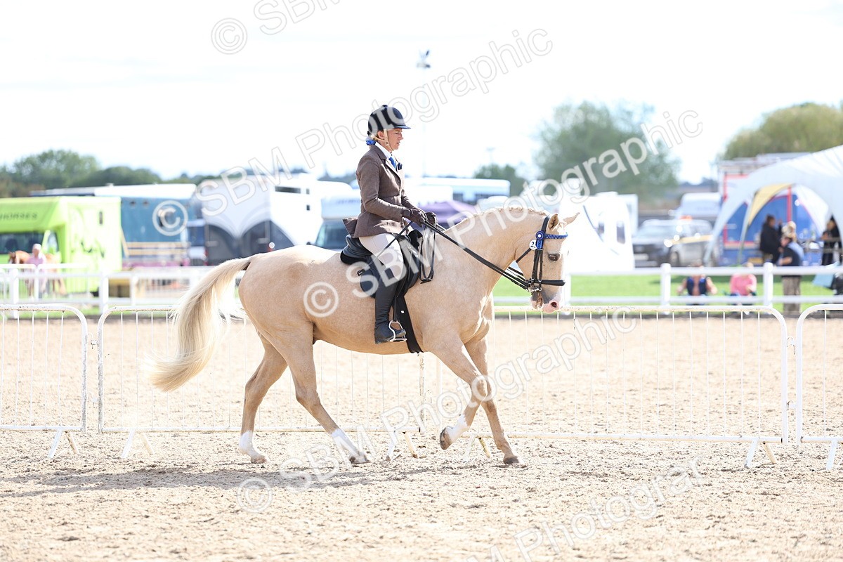 SBM_17115 - Class 315 - Best Horse - Rider Combination