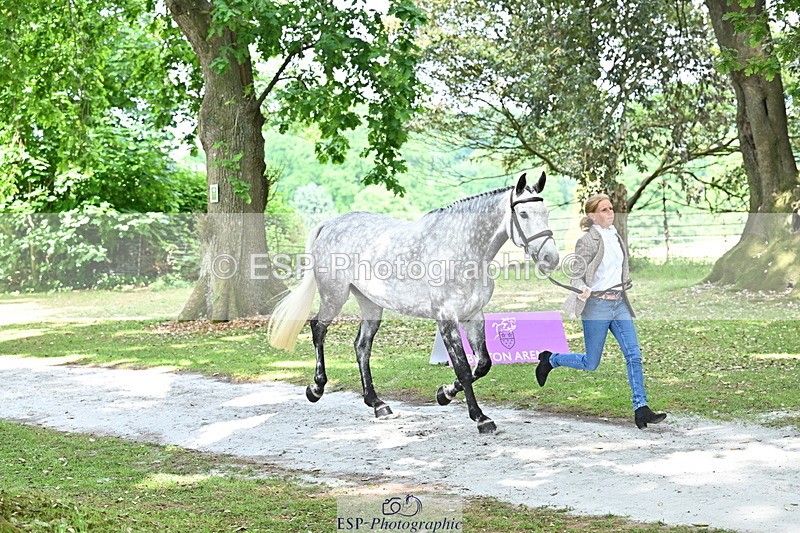 250521A-152016-00430 - B-357-Rosalind.Canter-ARMSCOTE.EXPLORER