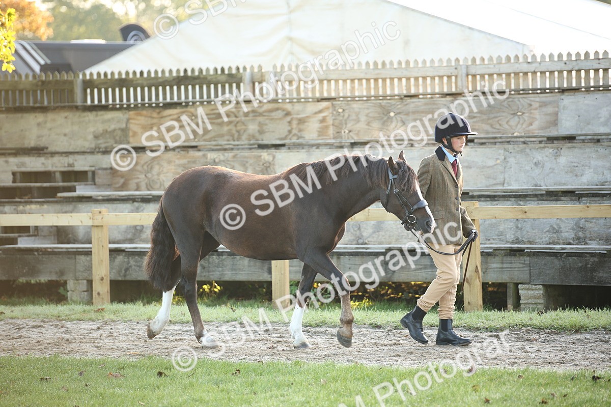 SBM_32252 - S8 - Best Turned Out
