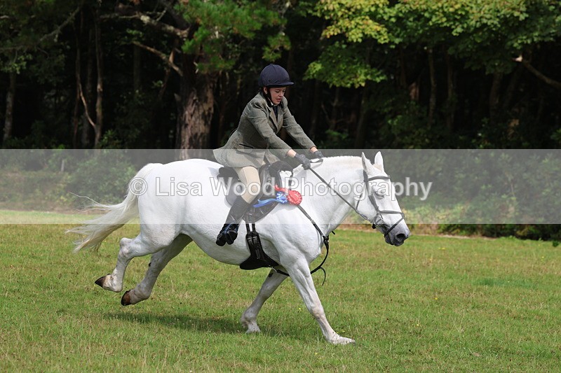 3E7A6121 - Working Hunter Championship