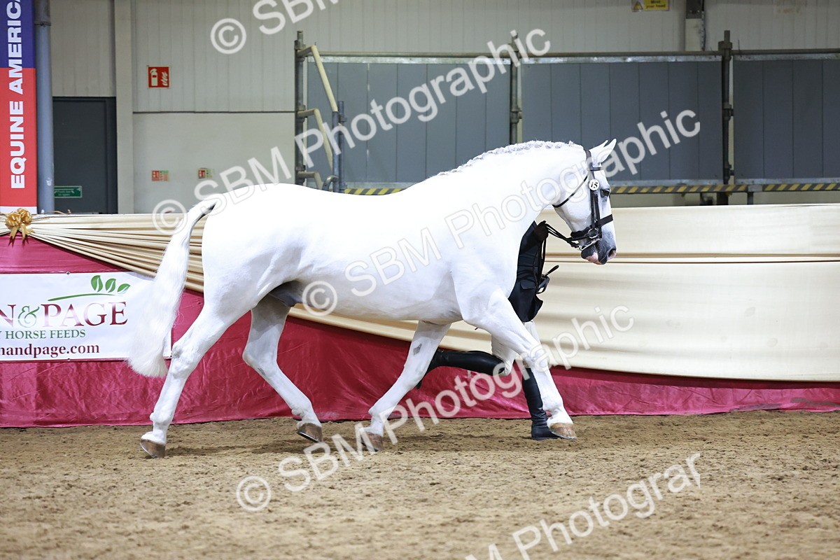 SBM_20460 - Class G - IH Large (over 148cm)Champ