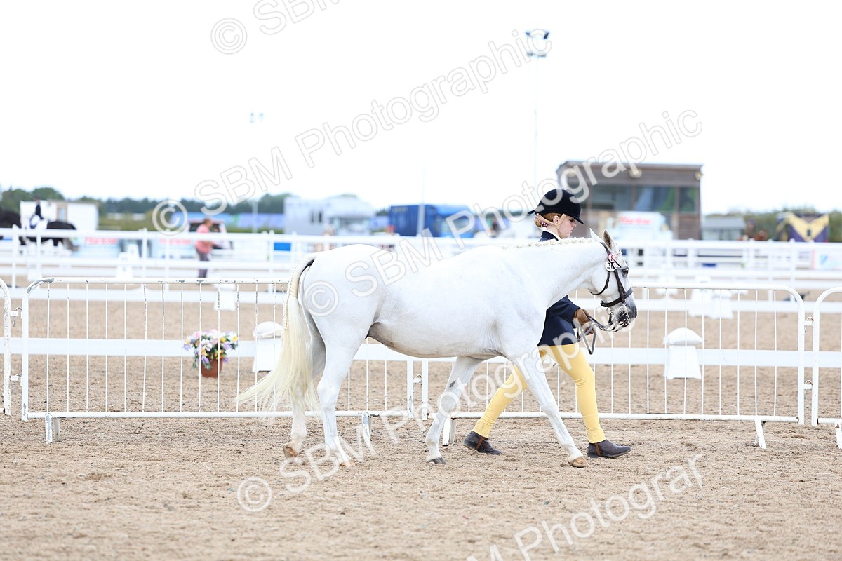 SBM_04991 - Class 27 - IH Competition Horse or Pony