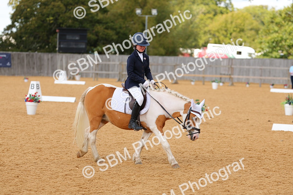 SBM_44122 - D22 - Junior Championship - Intro B