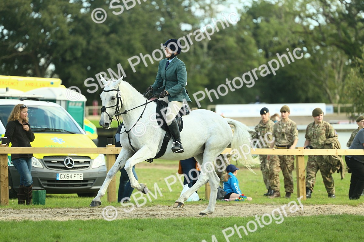 SBM_50709 - S33 - Working Hunter & Working Show Horse