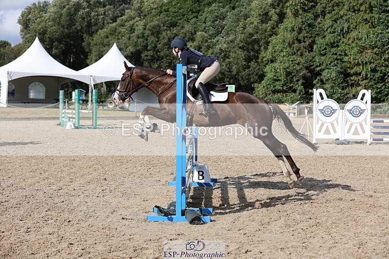 250803A-170915-17760 - R-821-Josephine.Grey-GEMMASTON.ALL.THAT.GLITTERS