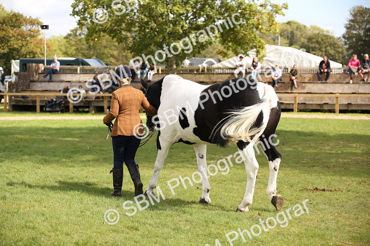 SBM_44498 - S24 - Young Veteran in hand