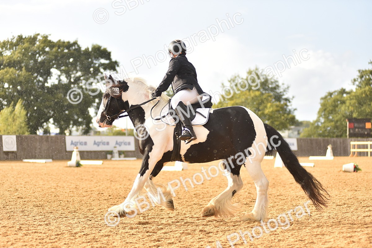 SBM_29767 - D16 -Small Tour Championship Novice 2