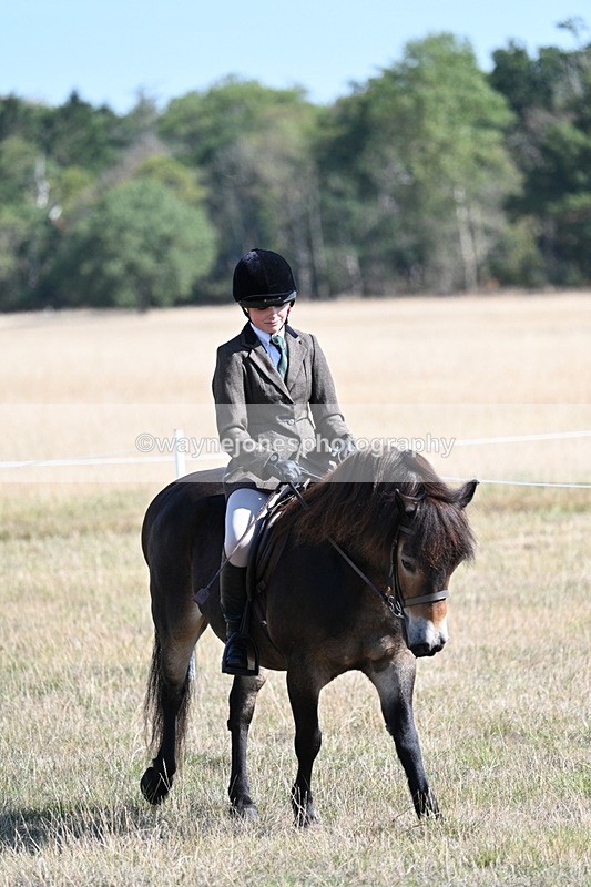 WJ7_3089 - Class 8 Ridden Tack & Turnout
