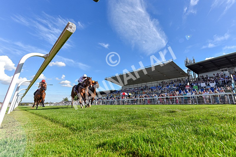 220926-Race 4-Toca Madera-7517 - Race 4 3.15pm Eddie And Violet Smith Conditions Stakes