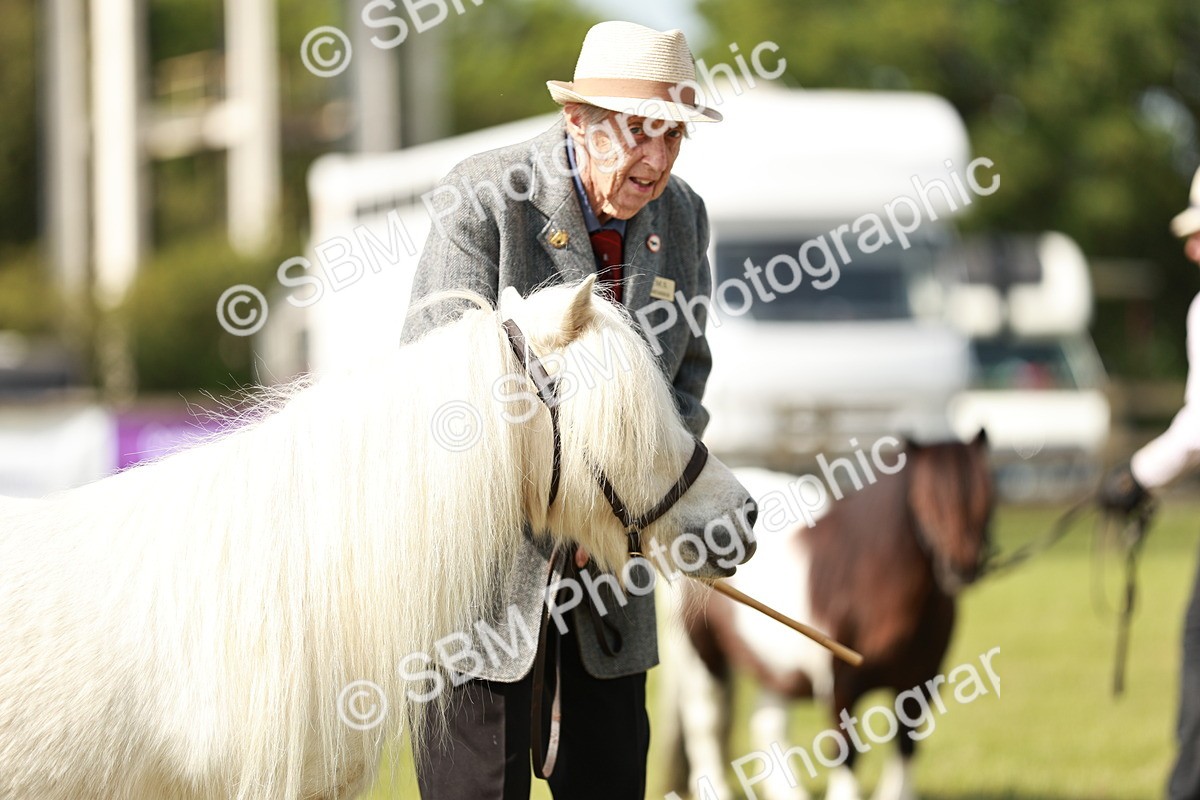 SBM_01983 - Class 14-23 - Mountain & Moorland In Hand Non Welsh