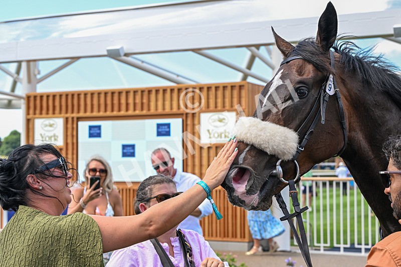 270626-Race 2-Cadarn-3948 - Race 2 13.55pm Al Basti Equiworld Dubai Mile Handicap