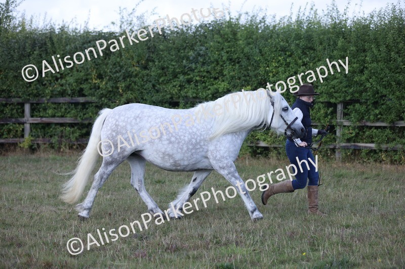 20250831-1647 - Class 22 - Mountain and Moorland Inhand