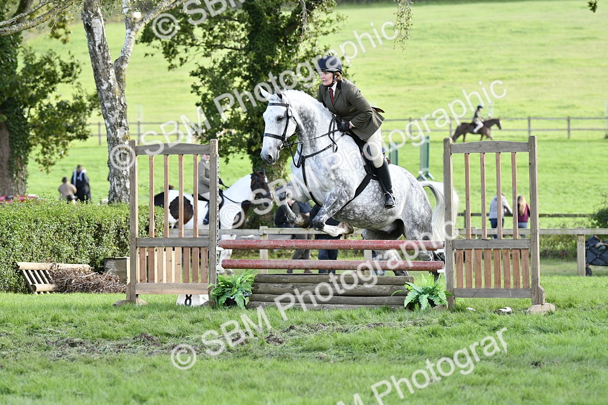 SBM_52171 - S35 - Working Hunter & Working Show Horse