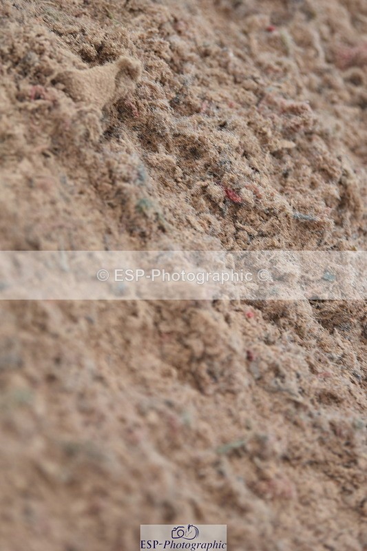 230902A-101840-00287 - Cls 7 95cm Amateur Quali