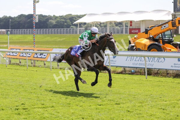 yr12062021r3-9 - Race 3 3.05pm Sky Bet Race to the Ebor Grand Cup