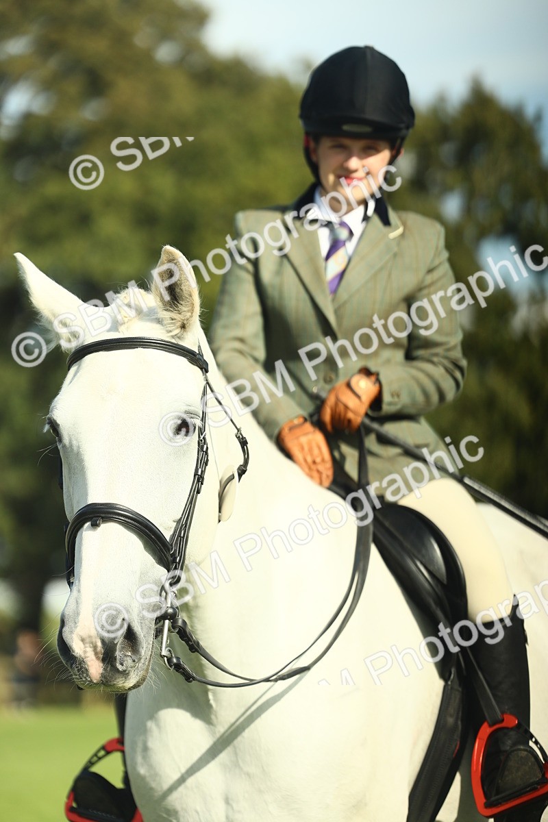 SBM_49883 - S32 - Novice & Newcomers Working Hunter