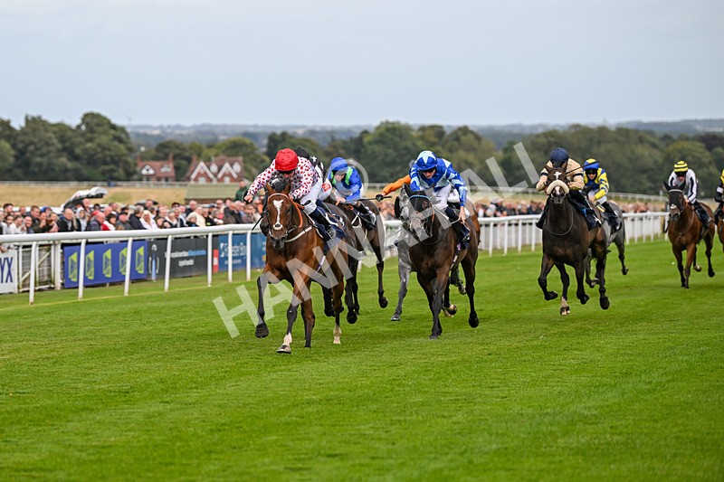 250824-Race 6-Lerwick-3804 - Race 6