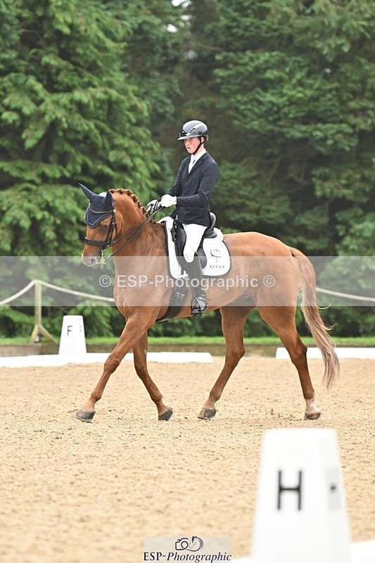 240811-113839-05225 - 208-Tom.Carter-Rubin.Regal