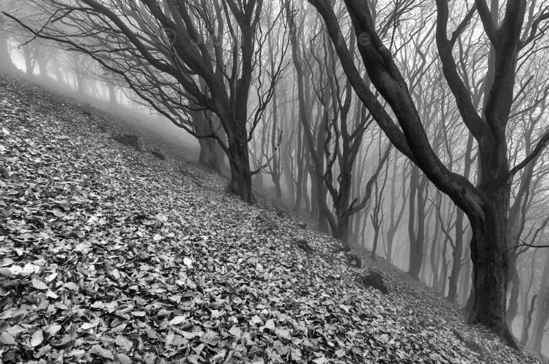 Vertigo, Castleton, Derbyshire, England. - Extraordinary Black-and-white Photographs