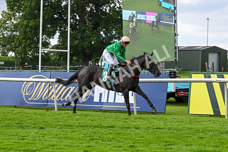 090824-Race 5-Quietness-4775 - Race 5