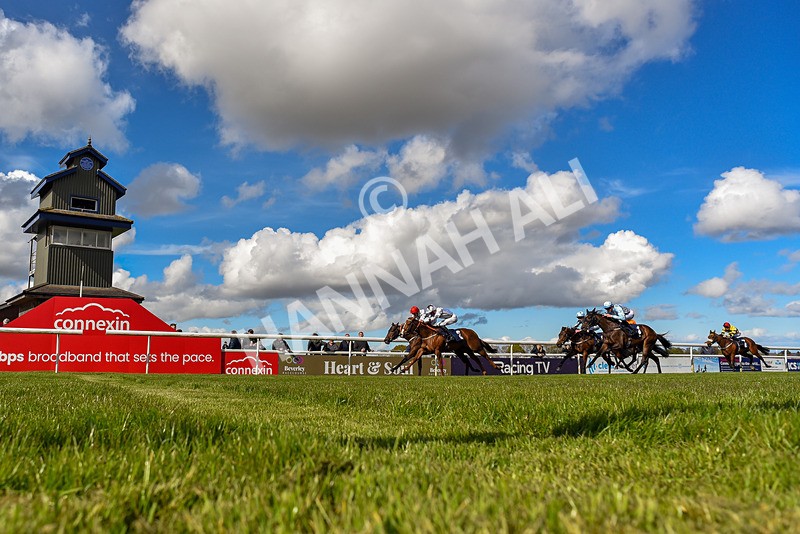 250424-Race 4-Classy Boy-3901 - Race 4