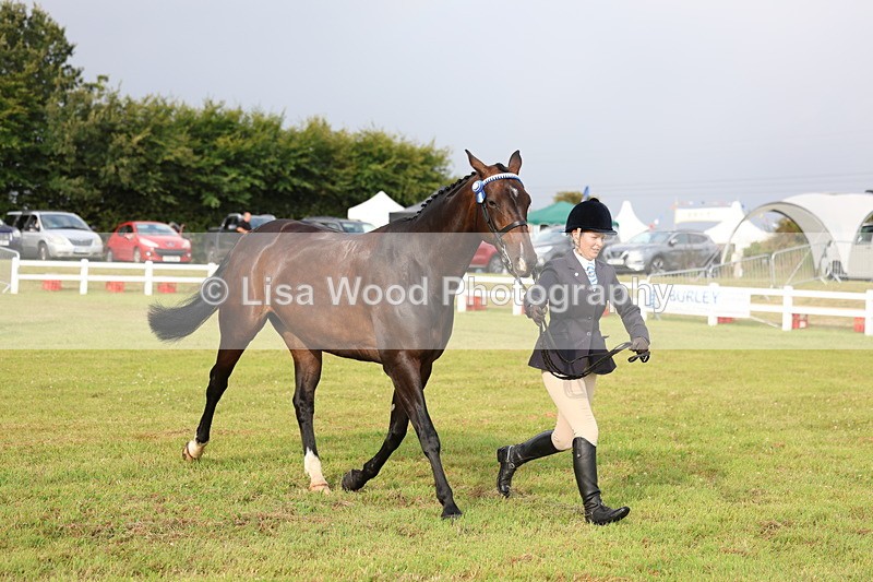 3E7A7868 - Class 1: Rising Star Small Hack/Riding Horses