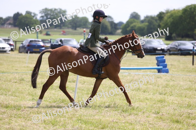 20260614-1867 - Class 21 - Novice Working Hunter Pony