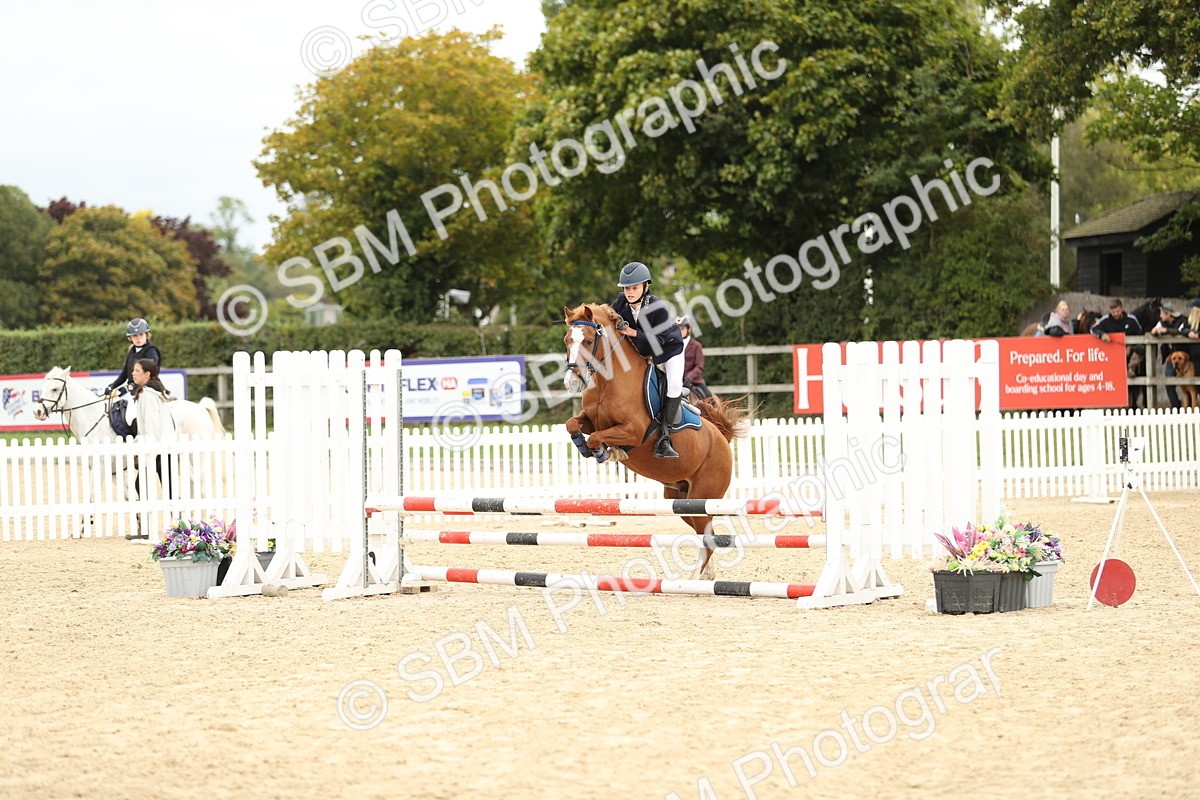 SBM_65686 - J48 - Pairs Jumping Open 70cm & 85cm