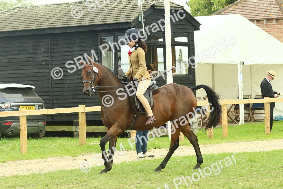 SBM_74081 - S 61 - Show Pony & Show Hunter Pony Ridden