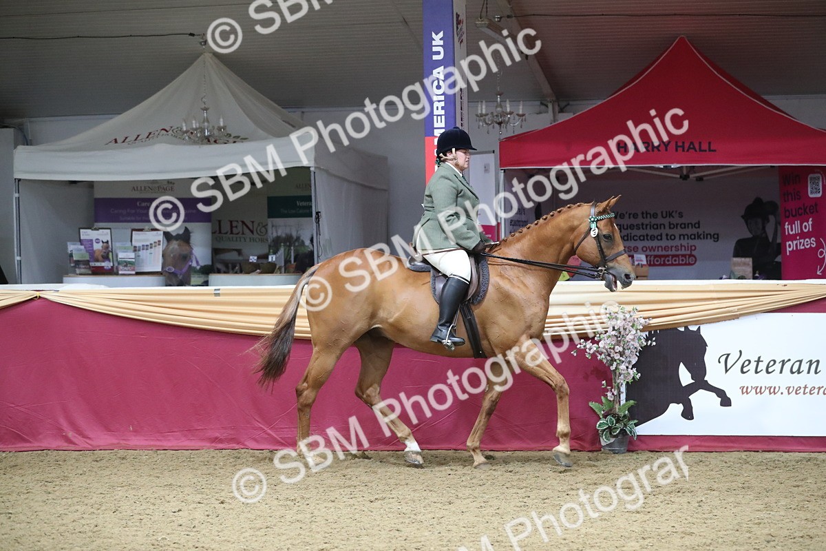 SBM_12312 - Class 108 Ridden Retired Racehorse- Pre Judging