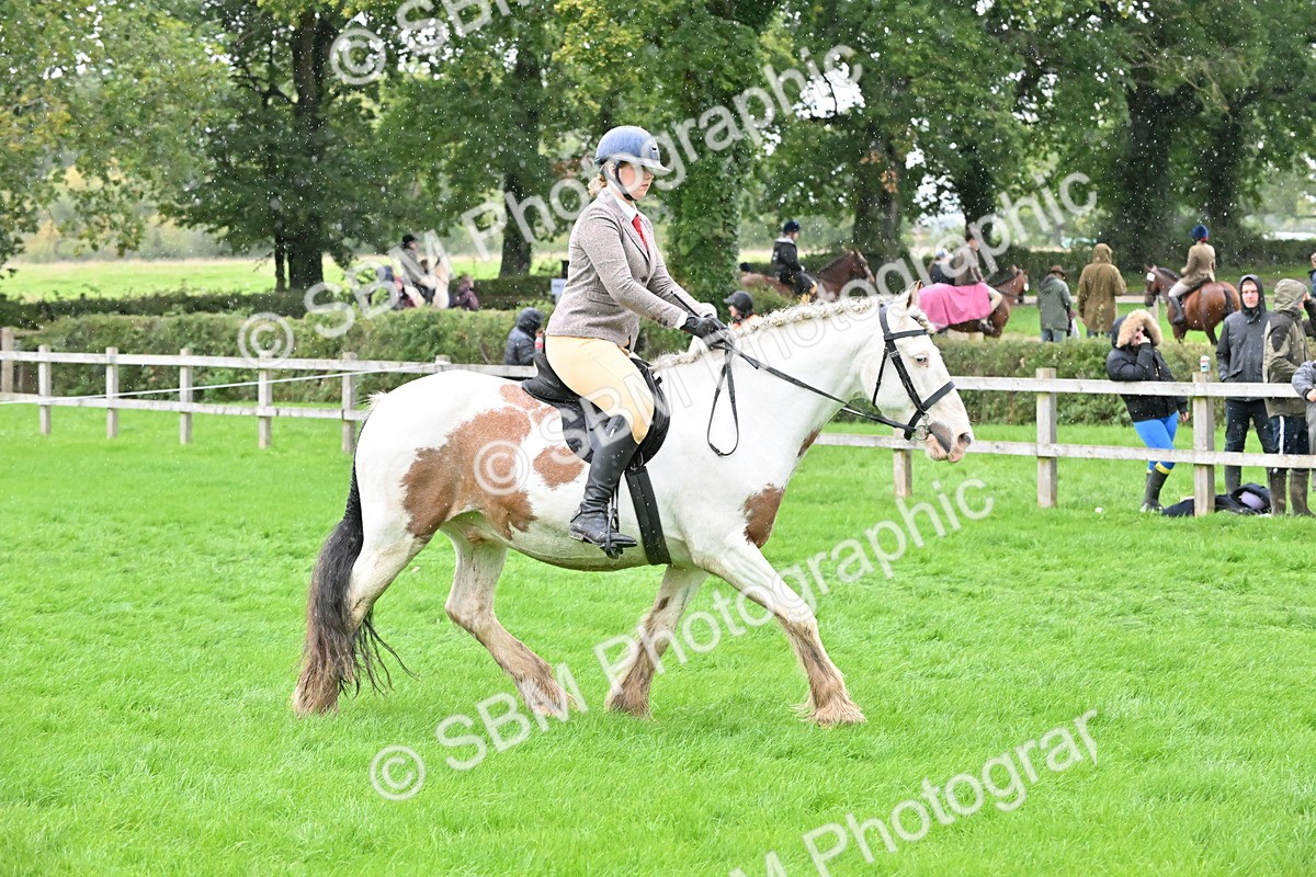 SBM_42967 - S12 - Family Horse & Pony