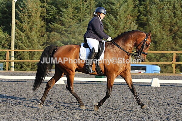 SIAL2452 - Saturday 16th 230pm till finish