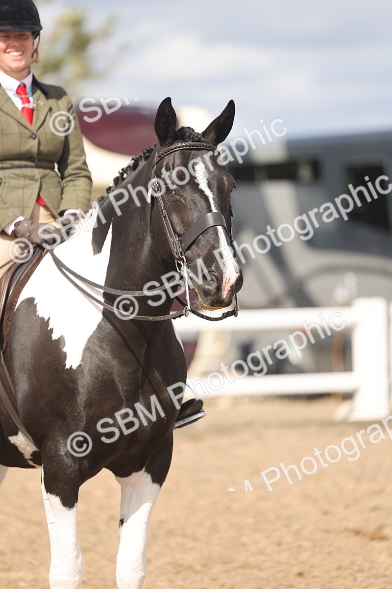 SBM_14789 - Class 308 - Ridden Coloured Horse