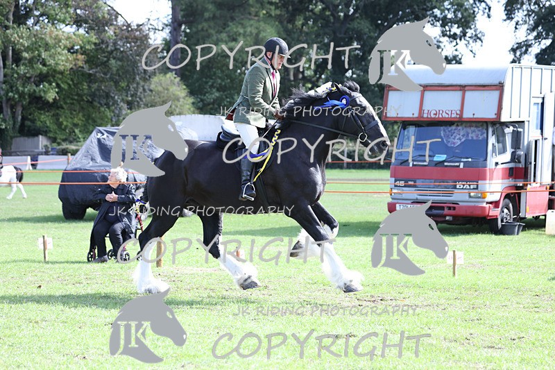 APP_3770 - Class 8 Ridden Class