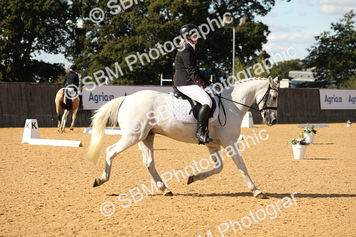 SBM_26551 - D17 - Grand Tour Championship - Novice 27