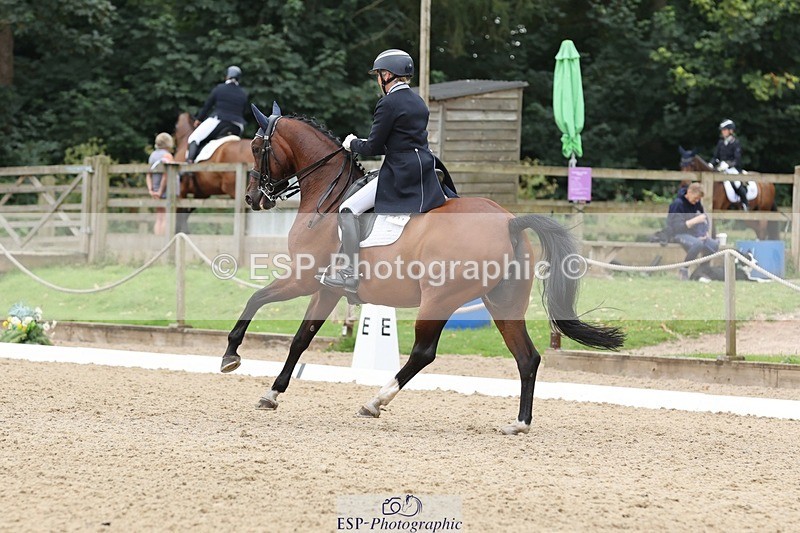 240810-151952-03970 - 231-Louise.Hutchinson-Donnarella