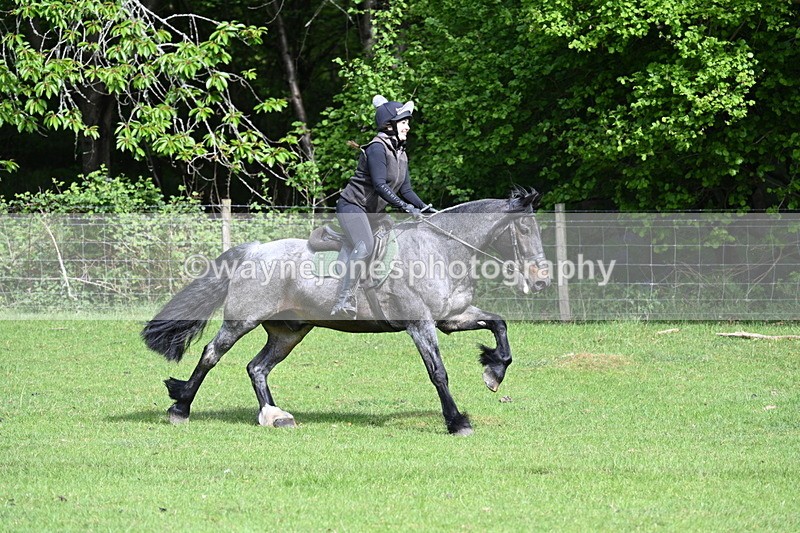 WJ7_2081 - Group 2 A&B Cameras