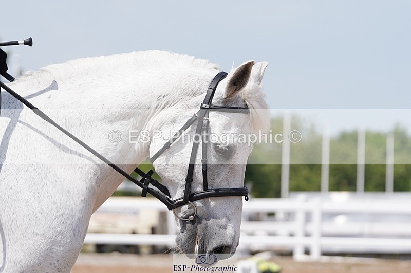 250621-150038-09523 - UnA Cls 3-4, Prelim 1+2