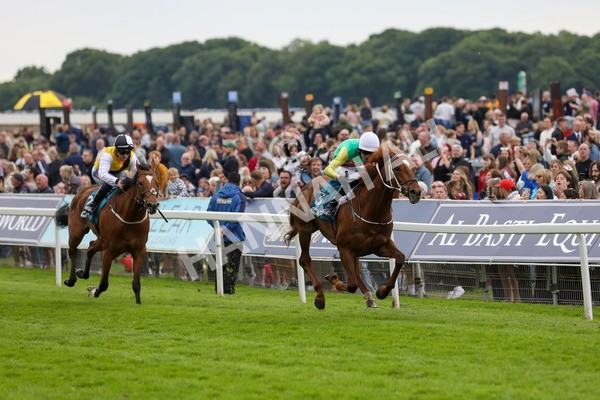 250524-Race 6-Primo Lara-3275 - Race 6 4.30pm Royal Yorkshire Regiment Handicap