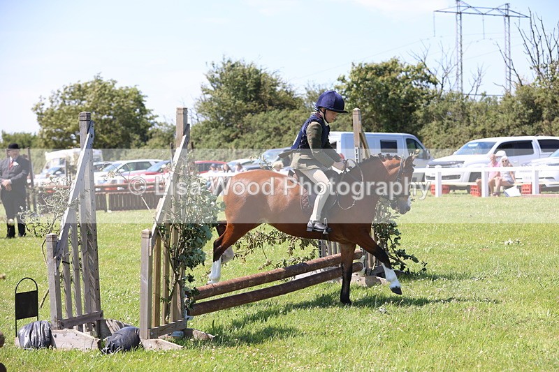 JPP_2274 - Class 20: Tiny Tots Working Hunter Pony