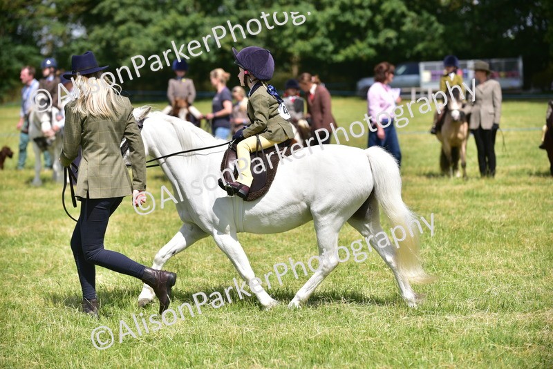 20260614-1237 - Class 11a - Lead Rein Pony (Unplaited)